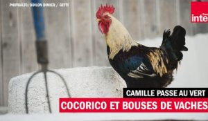 Cocorico et bouse de vache - Camille passe au vert