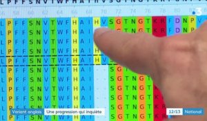 Covid-19 : la progression du variant anglais inquiète