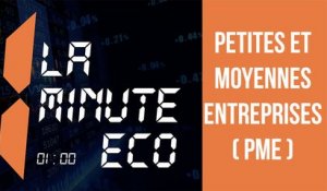 La Minute éco: Petites et Moyennes Entreprises (PME)