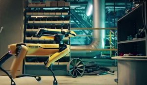 Wildcat Le Nouveau Robot Le Plus Rapide Du Monde