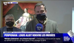 Réouverture des musées de Perpignan: le maire RN Louis Aliot appelle à "vivre avec" le virus