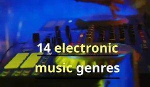 14 electronic music genres