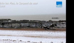 Neige en Loire-Atlantique et Vendée