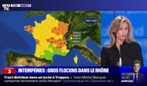 Story 2 : Gros flocons dans le Rhône - 12/02