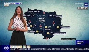 Météo Paris-Ile de France du 15 février : Des températures faiblement positives