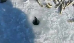 Il plonge son téléphone sous la glace pour vérifier s'il y a des poissons