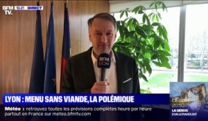 Menu sans viande: le président EELV de la Métropole de Lyon dénonce "des polémiques vaines"
