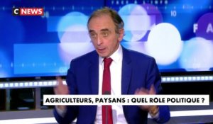 Éric Zemmour : «Les agriculteurs ont beaucoup d’ennemis»