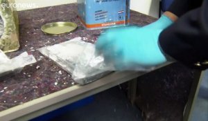 Saisie record de cocaïne en Europe : il y en avait potentiellement pour quelques milliards d'euros