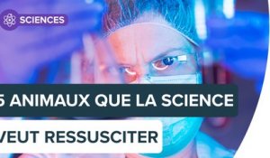 Peut-on ressusciter des animaux disparus ? | Futura