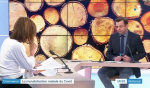 Lin et bois : quand la production française profite aux pays étrangers