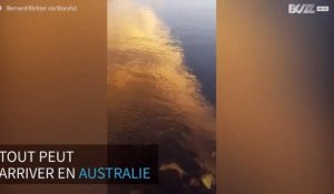 Un requin aperçu dans une rivière australienne
