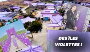 Ces îles violettes en Corée du Sud sont le paradis des instagrameurs