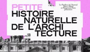 Petites histoires naturelles de l'architecture - Episode 5 - Pandémies et dômes