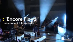 Le groupe Encore Floyd en concert à la maison pour savourer les grands tubes de Pink Floyd