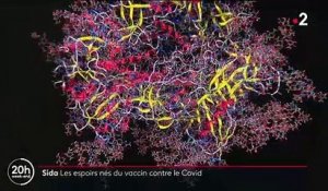 Sida : avec les vaccins contre le Covid-19 revient l'espoir d’un sérum contre le VIH