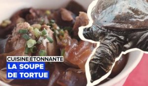 Cuisine étonnante : la soupe de tortues