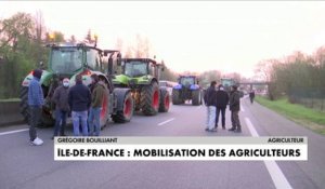 Ile-de-France : mobilisation des agriculteurs