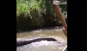 Un énorme anaconda tente de faire chavirer leur barque