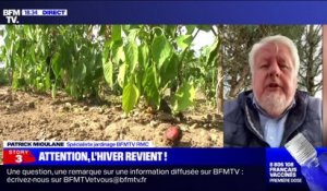 Story 6 : Attention, l'hiver revient ! - 02/04