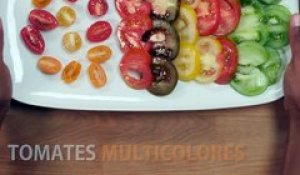 Tarte multicolore aux tomates