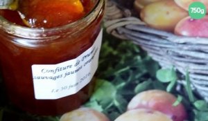 Confiture de prunes sauvages jaunes orangées