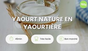 Yaourt nature en yaourtière
