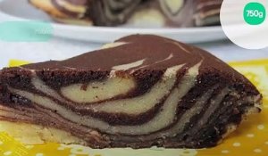 Gâteau twist chocolat et vanille