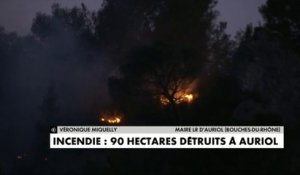 Incendie : 90 hectares détruits à Auriol
