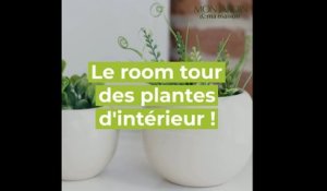 Choisir vos plantes d'intérieur
