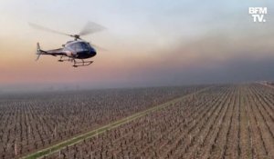 En Bourgogne, les images d'un hélicoptère survolant les vignes pour éviter qu'elles ne gèlent