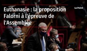 Euthanasie : la proposition Falorni à l'épreuve de l'Assemblée