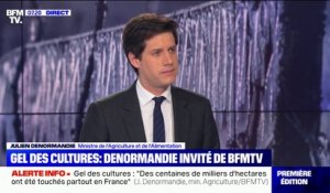 Gel des cultures: Julien Denormandie estime que "l'épisode a été dramatique"