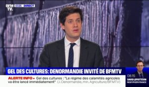 Gel des cultures: Julien Denormandie affirme qu'il faut s'attendre à ce qu'il y ait moins de pêches et d'abricots cet été