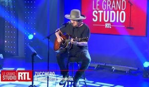 Zucchero - Il suono della domenica (Live) - Le Grand Studio RTL
