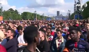 Euro 2016: joie des supporters français après la victoire