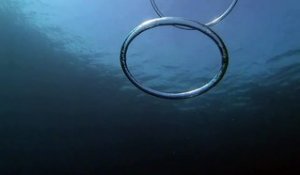 Ce plongeur filme 2 bulles qui se percutent... ce qui se passe est incroyable