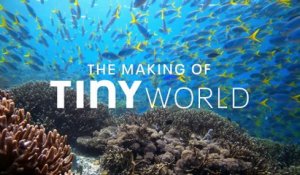 Tiny World — Filming Inside the Reef | Apple TV+