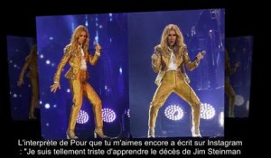 ✅ Céline Dion en deuil - la star pleure un « génie »