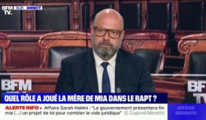 "C'est pour elle une immense injustice": l'avocat de la mère de Mia témoigne sur BFMTV