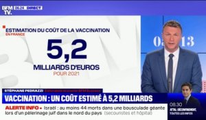Le coût de la vaccination en France est estimé à 5,2 milliards d'euros