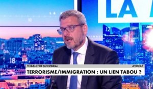 Thibault de Montbrial : «L'idéologie islamiste est une idéologie qui a été importée massivement sur notre territoire par l'immigration»