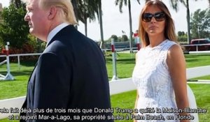 ✅ Melania Trump entretient son mystère à Mar-a-Lago - « Elle continue de n'en faire qu'à sa tête »