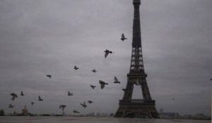 Drogue, vols et cambriolages : le quotidien des « mineurs marocains » au pied de la tour Eiffel