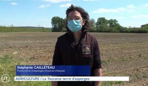 AGRICULTURE / La Touraine terre d'asperges