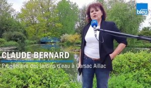 Au fil de l'eau - Claude Bernard, propriétaire des jardins d’eau à Carsac Aillac