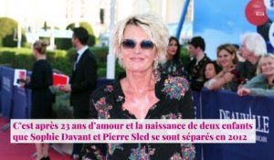 Sophie Davant : Ses confidences sur son divorce avec Pierre Sled