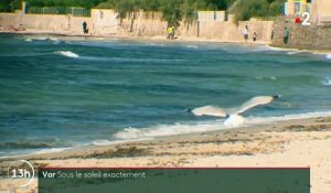 Tourisme : des vacanciers profitent des plages du Var, sous le soleil