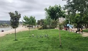 Les paillotes de Martigues se réinstalle sur la plage de Ferrières