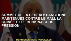 Sommet de la CEDEAO : les sanctions contre le Mali, la Guinée et le Burkina maintenues sous pression
